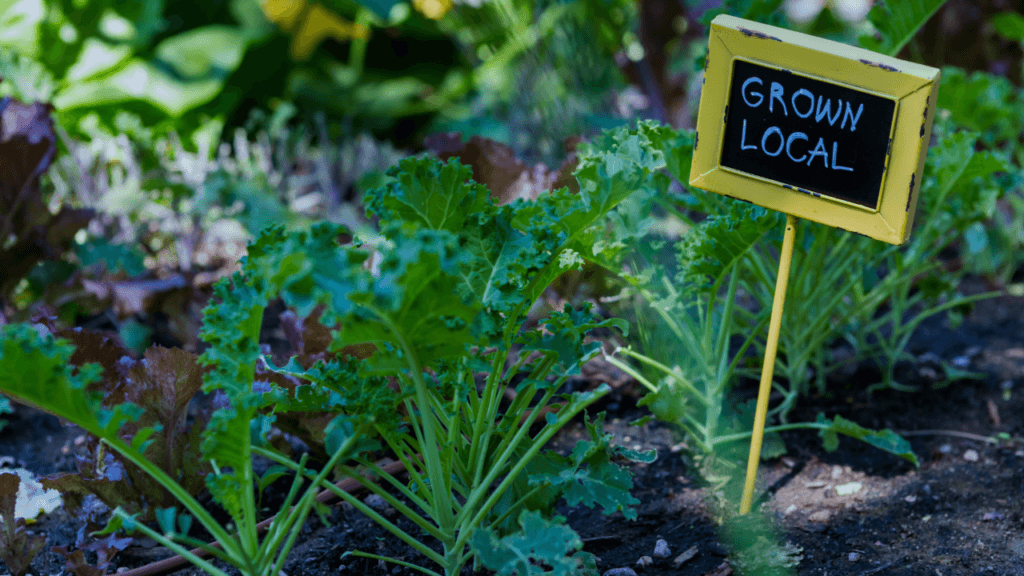 Companion plantsfor vegetable gardens