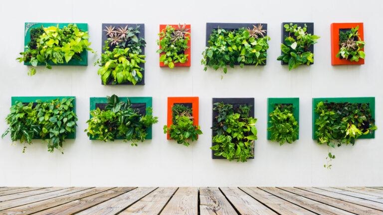 image shows sa vertical garden built on a wall