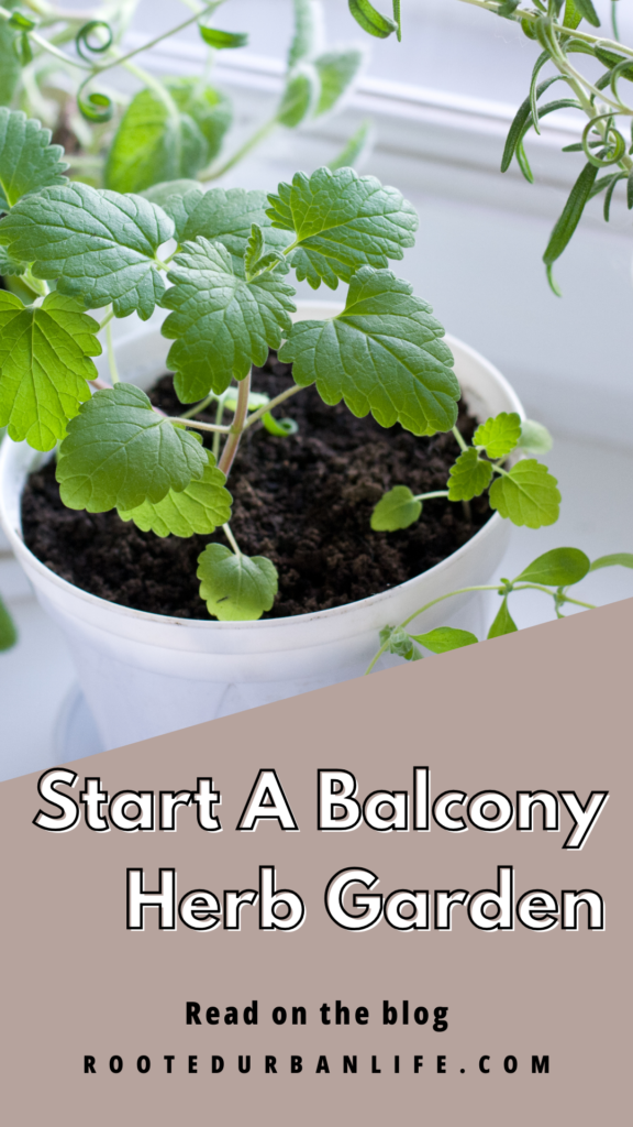 A white pot with herbs