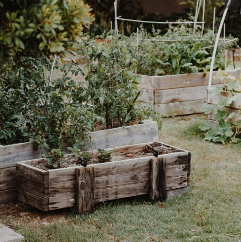 How to create a raised bed