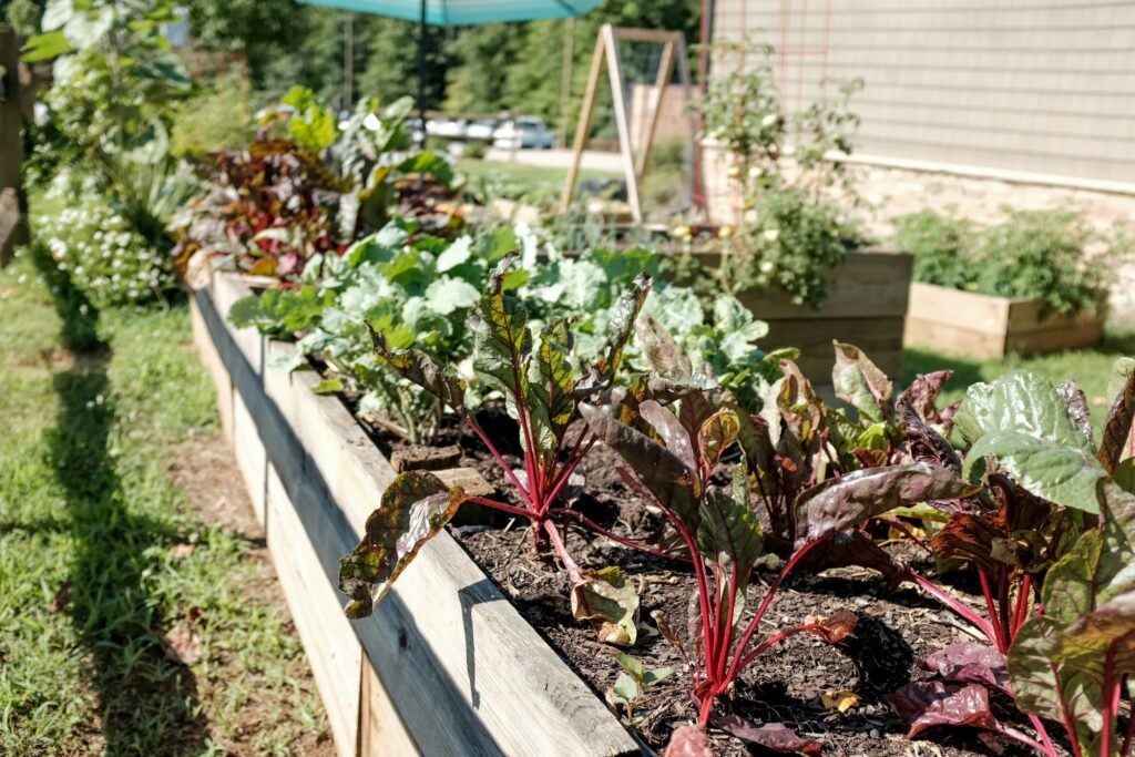 Raised bed gardening