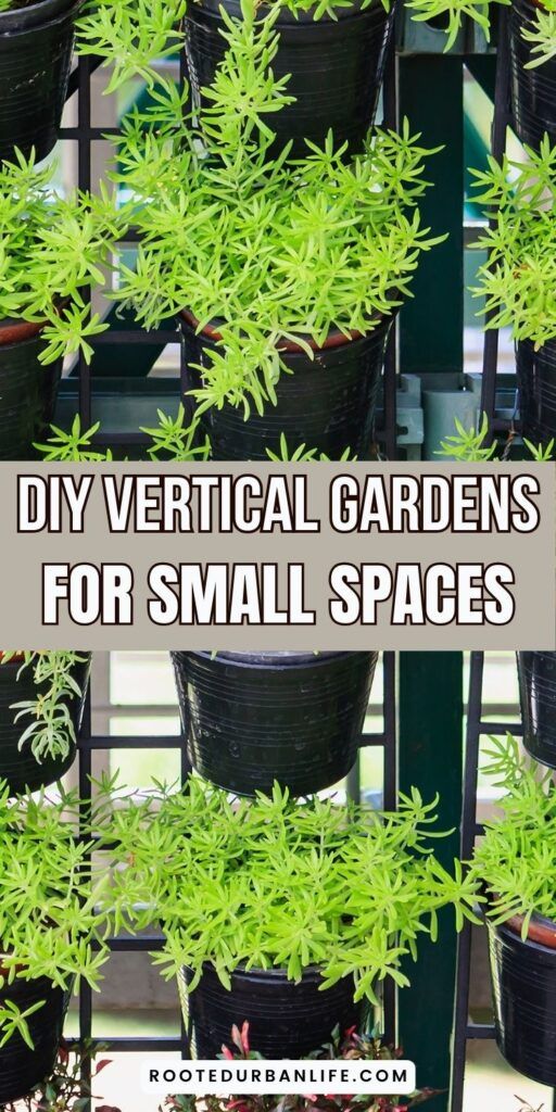 vertical garden in buckets