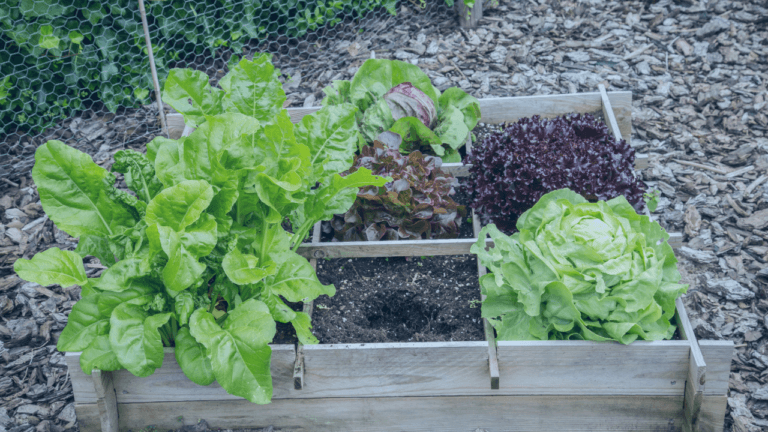 12 Game-Changing Companion Planting Strategies for Small-Space Gardens
