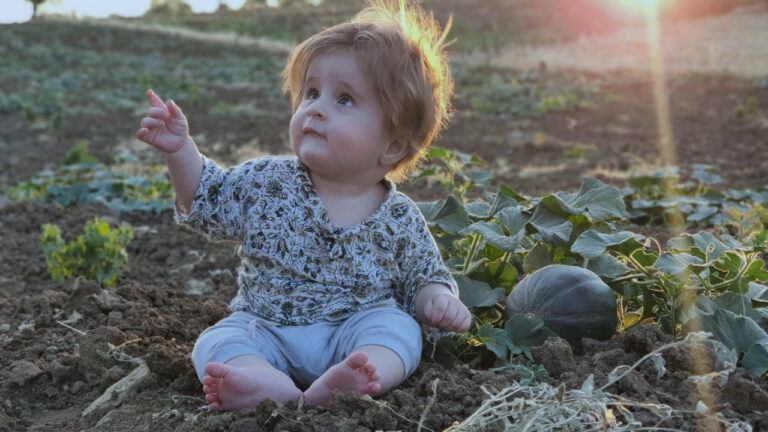 Fall gardening with kids activities - a child in a field of watermelons at dusk