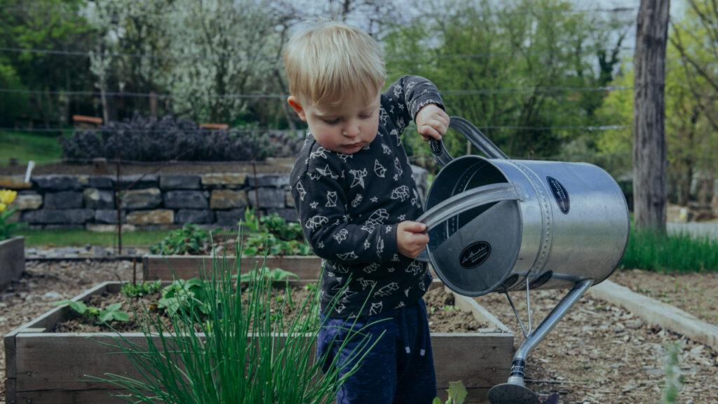 Fall gardening with kids activities - child watering plants with a watering can