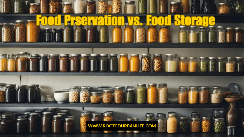 JArs stacked on pantry shelves