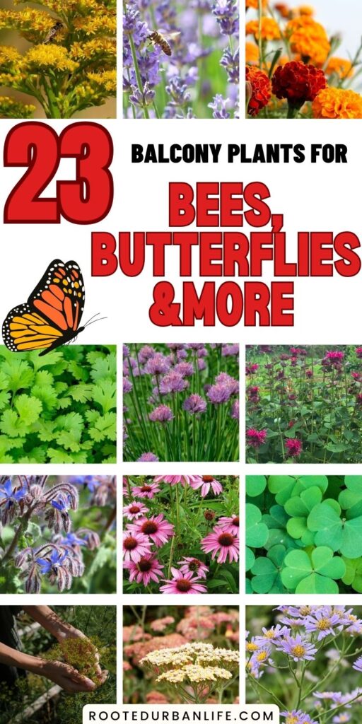 collage of plants for pollinators