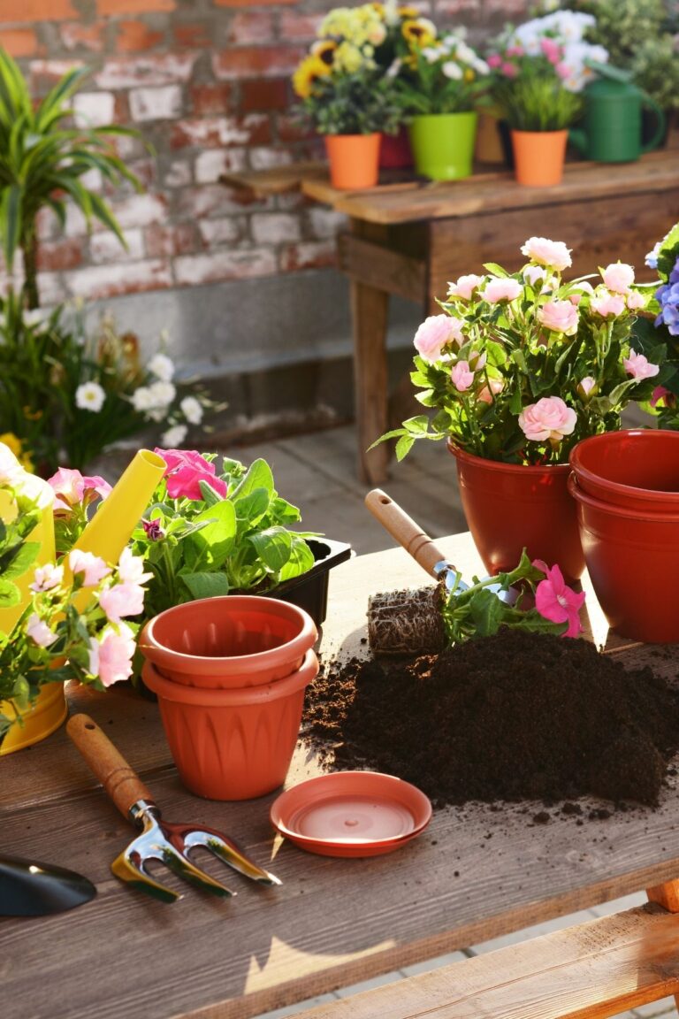 Plastic pots with flowers, gardening tools on a wooden surface