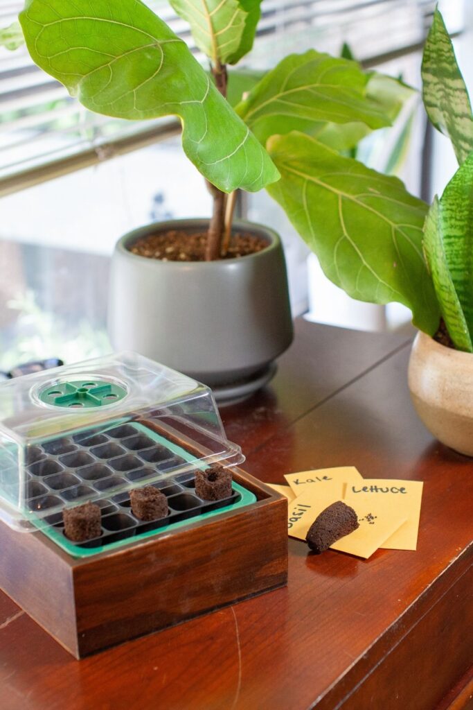Seed starting kit on a table with packets of seeds