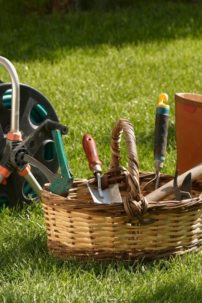 Wicker basket with various gardening tools