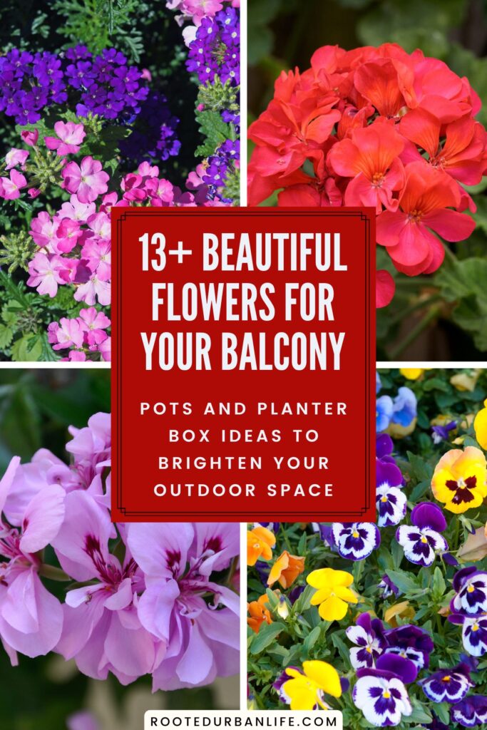 Collage of flowers inspiration for balconies