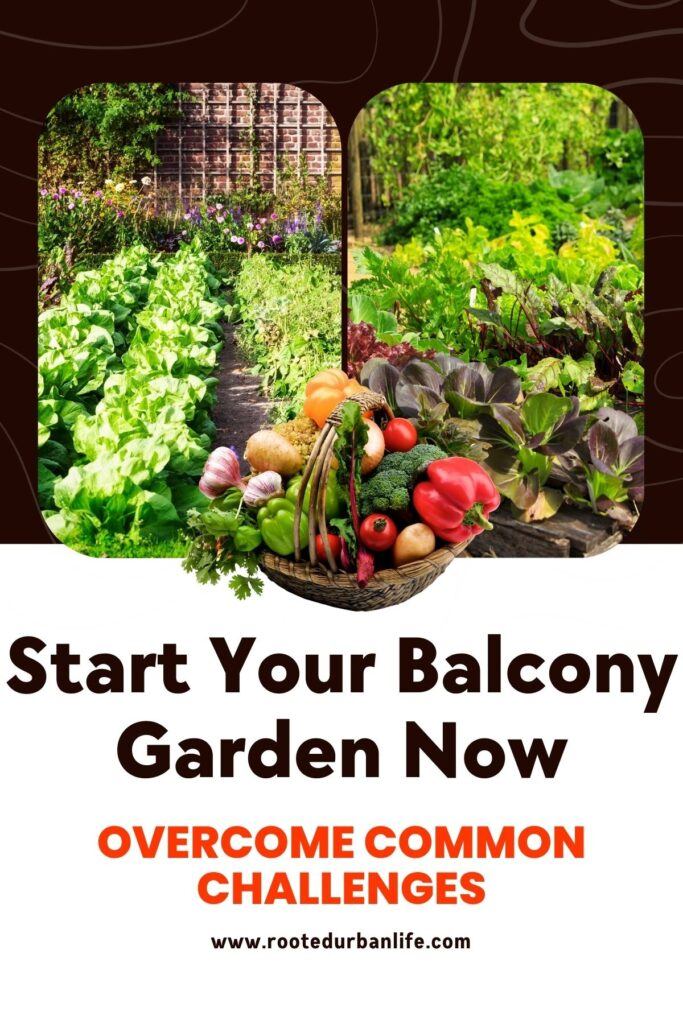 Fresh vegetables in a basket and in t he field