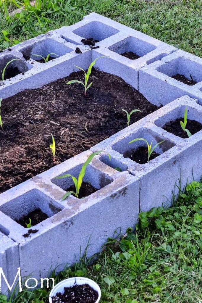 Cinder Block Raised Bed