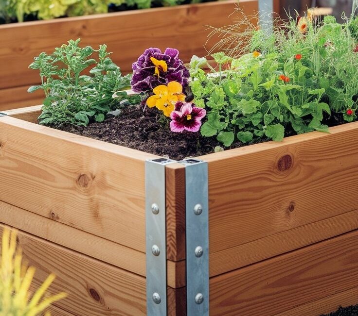 Raised garden beds in a backyard