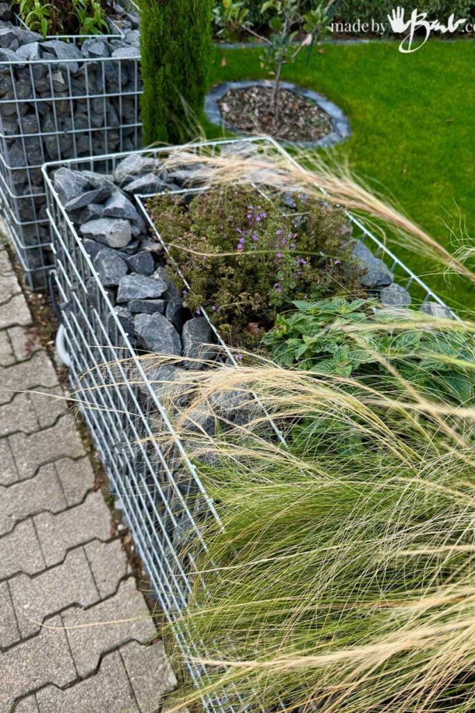 Gabion raised bed