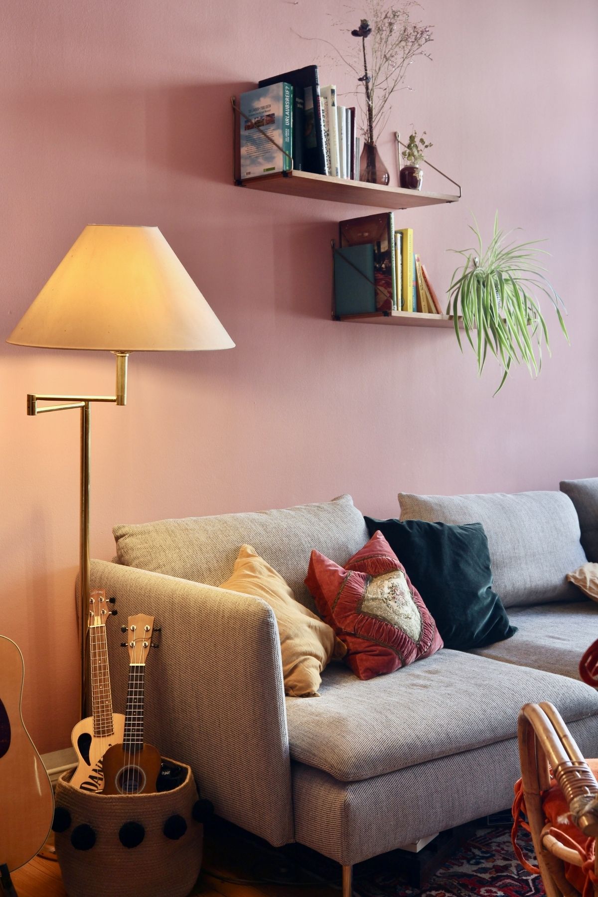 A spider plant on a shelf above a couch
