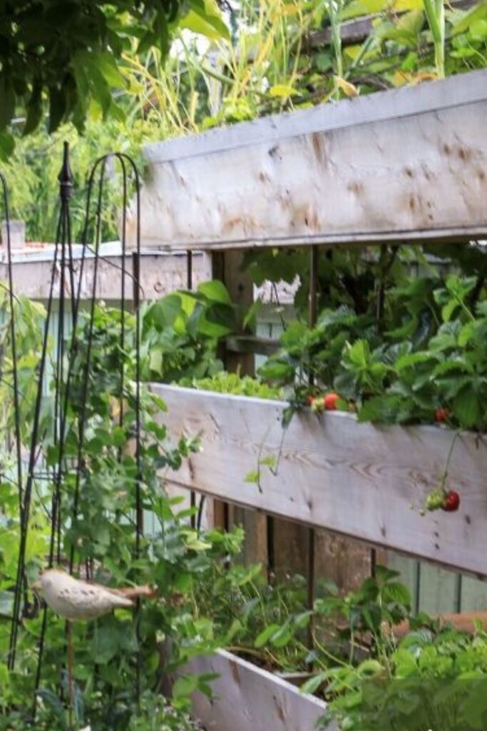 Vertical Bed