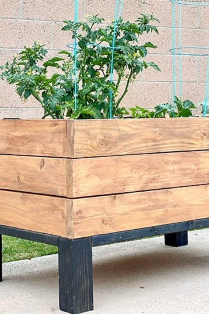 Self watering container