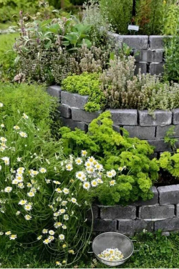 Spiral Garden