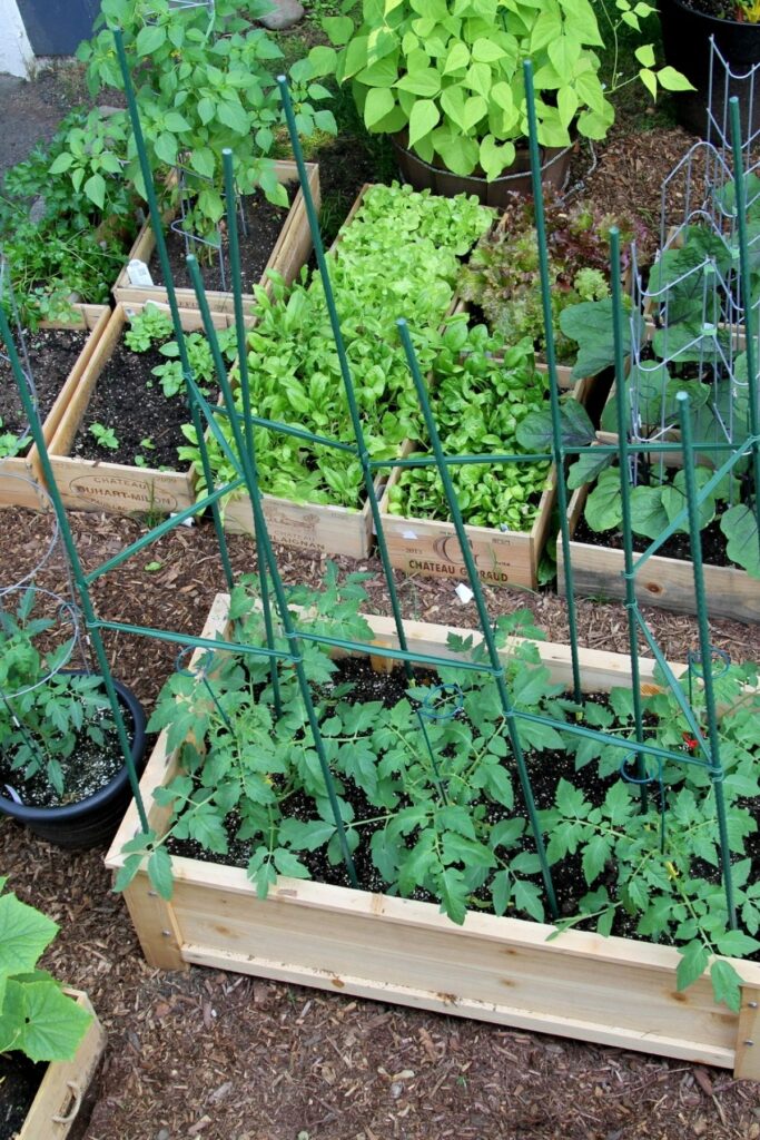Wine Crate Garden
